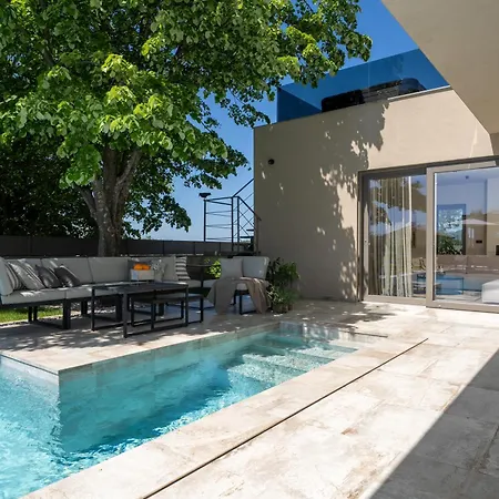 Luxury Lipa Tree