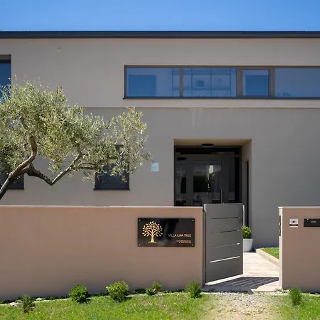 Villa Luxury Lipa Tree *
